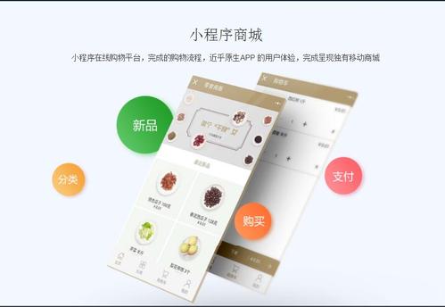 微信商城小程序上線后，如何運(yùn)用技術(shù)手段高效推廣產(chǎn)品